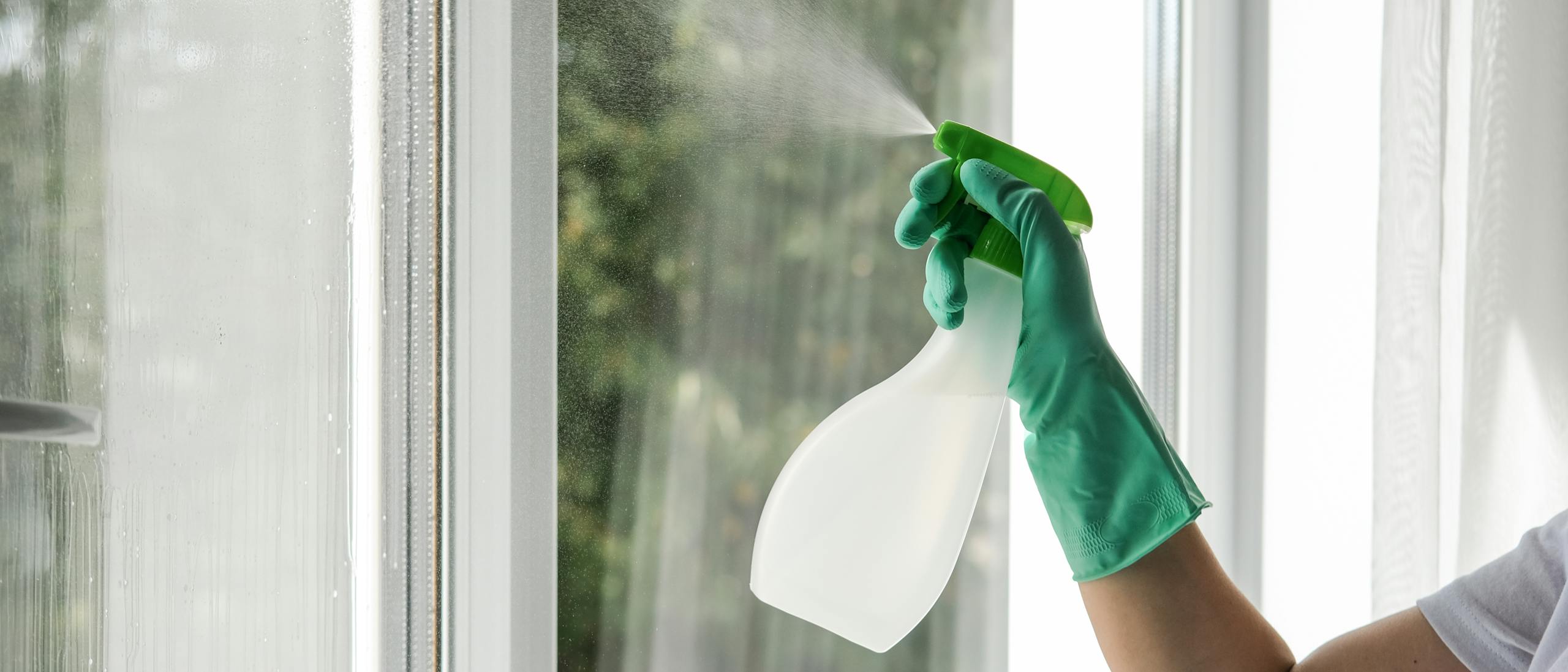 A young woman cleaning window at home general cle 2023 03 13 22 53 03 utc